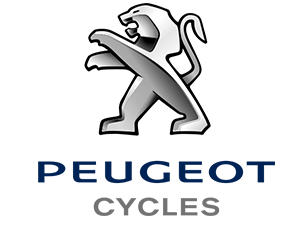 pièces scooter Peugeot